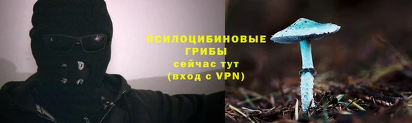 Альфа ПВП Новокубанск