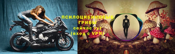 гидропоника Абинск