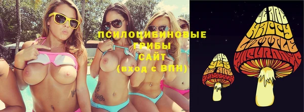спайс Аша