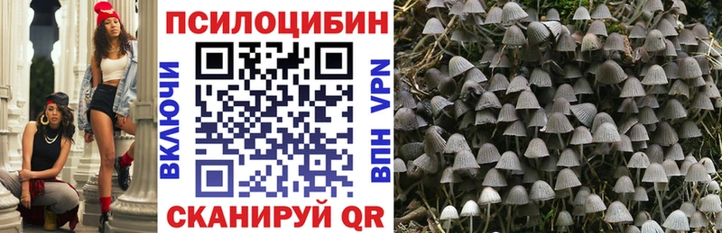 Галлюциногенные грибы Cubensis  Спас-Клепики 